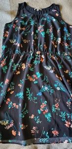 Hawthorn black floral dress